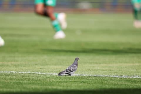 Football. PKO BP Ekstraklasa. Radomiak Radom - Motor Lublin. 06.04.2026