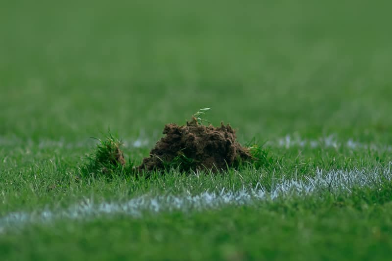 Football. PKO BP Ekstraklasa. GKS Katowice - Piast Gliwice. 16.02.2025
