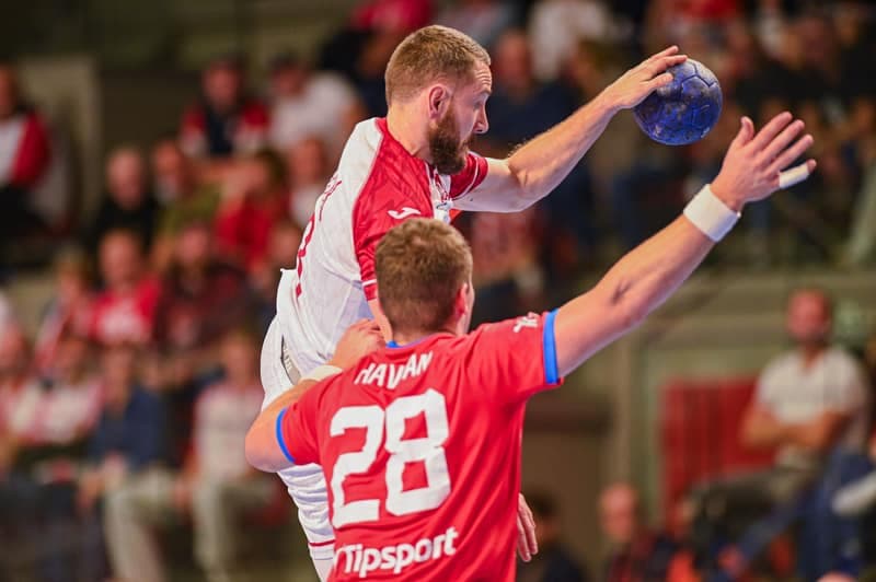 Handball. Friendly Match. Poland - Czechia. 31.10.2025