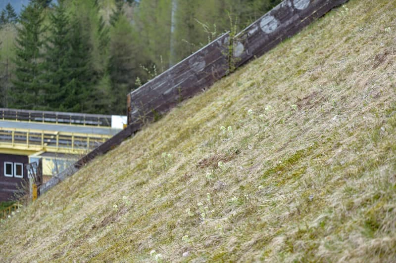 Ski Jumping. Certak Complex. Day 1. 21.04.2025