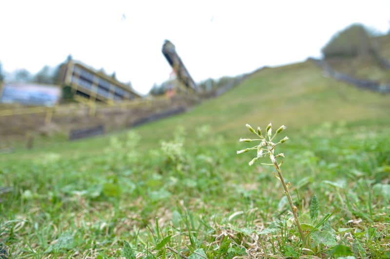 Ski Jumping. Certak Complex. Day 1. 21.04.2025