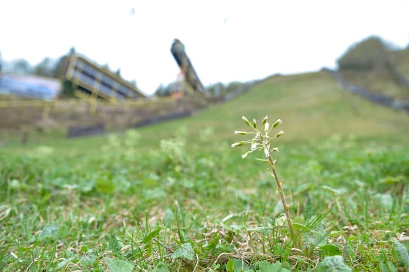 Ski Jumping. Certak Complex. Day 1. 21.04.2025