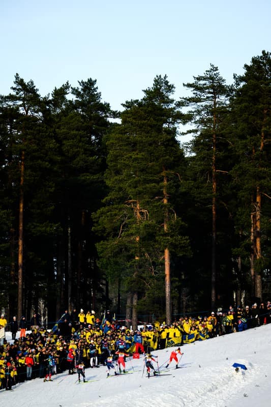 Cross-Country Skiing. FIS World Cup. Women's Sprint. 28.02.2026