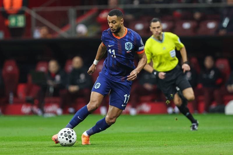 Football. FIFA World Cup Qualifiers. Poland - Netherlands. 14.11.2025