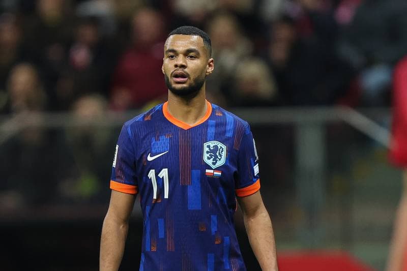 Football. FIFA World Cup Qualifiers. Poland - Netherlands. 14.11.2025