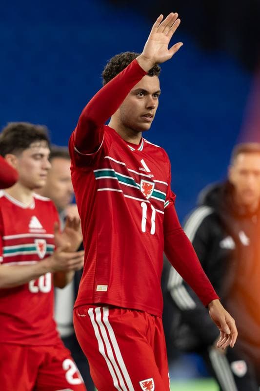 Football. International Friendly. Wales - Northern Ireland. 31.03.2026