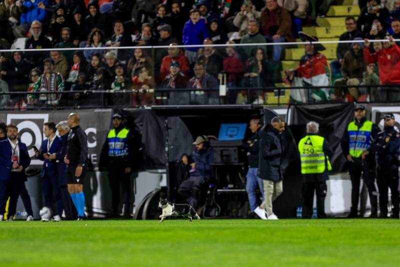 Football. Liga Portugal Betclic. CF Estrela da Amadora - Sporting CP. 11.04.2026