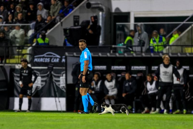 Football. Liga Portugal Betclic. CF Estrela da Amadora - Sporting CP. 11.04.2026