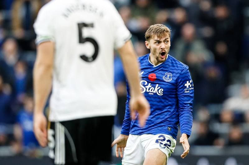 Football. Premier League. Everton - Fulham. 08.11.2025