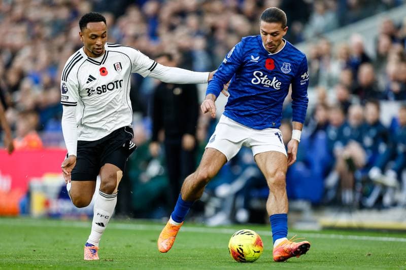 Football. Premier League. Everton - Fulham. 08.11.2025