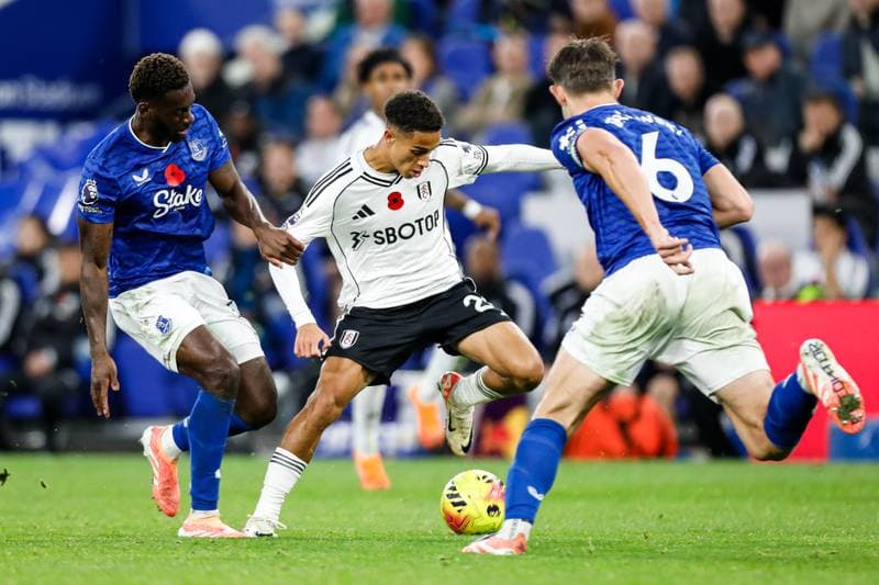 Football. Premier League. Everton - Fulham. 08.11.2025