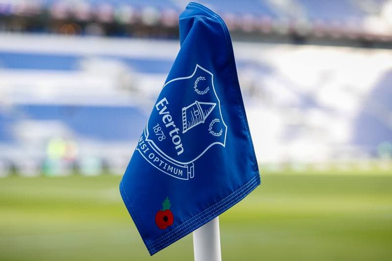 Football. Premier League. Everton - Fulham. 08.11.2025