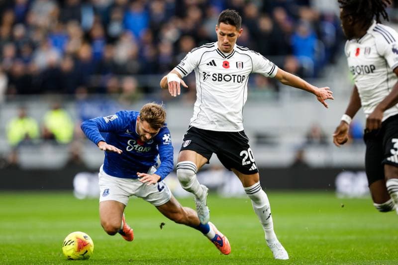 Football. Premier League. Everton - Fulham. 08.11.2025