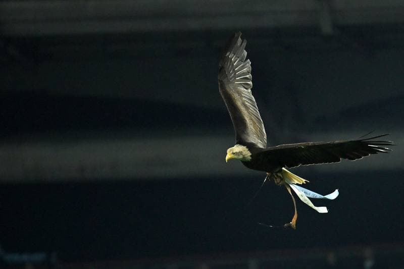 Football. Serie A. SS Lazio - US Cremonese. 20.12.2025