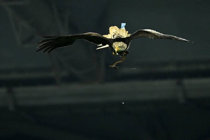 Football. Serie A. SS Lazio - US Cremonese. 20.12.2025