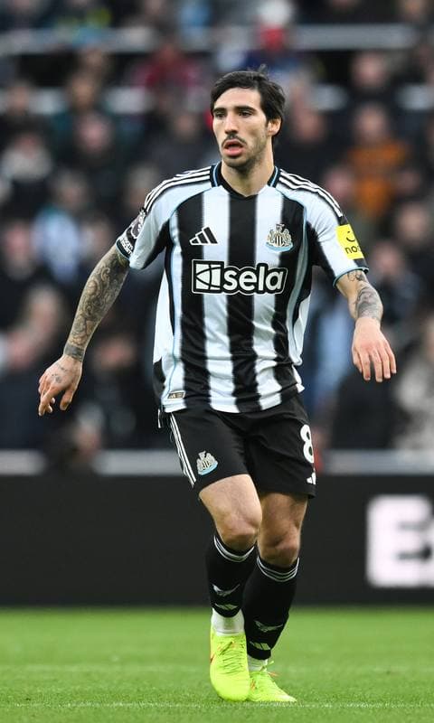 Football. Premier League. Newcastle United - Fulham. 25.10.2025