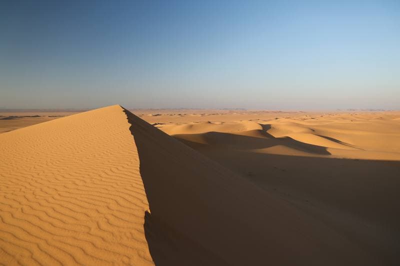 Motorsport. Dakar Rally. Stage 8. 12.01.2026