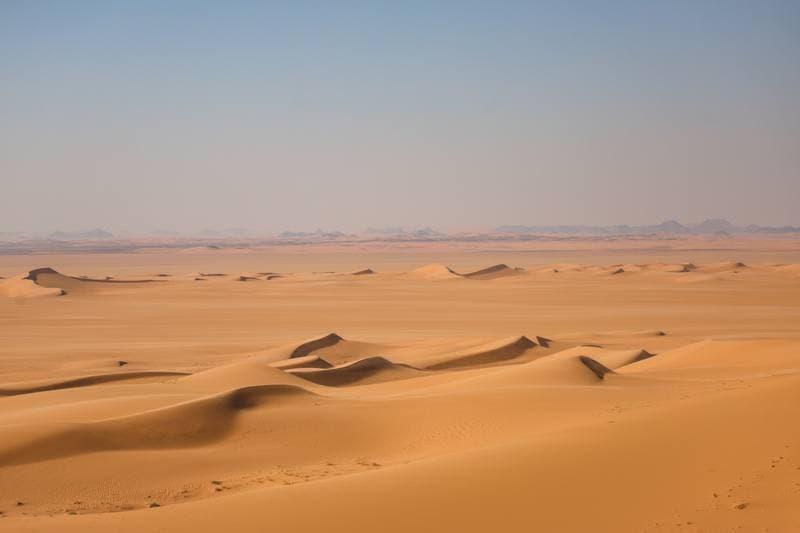 Motorsport. Dakar Rally. Stage 8. 12.01.2026
