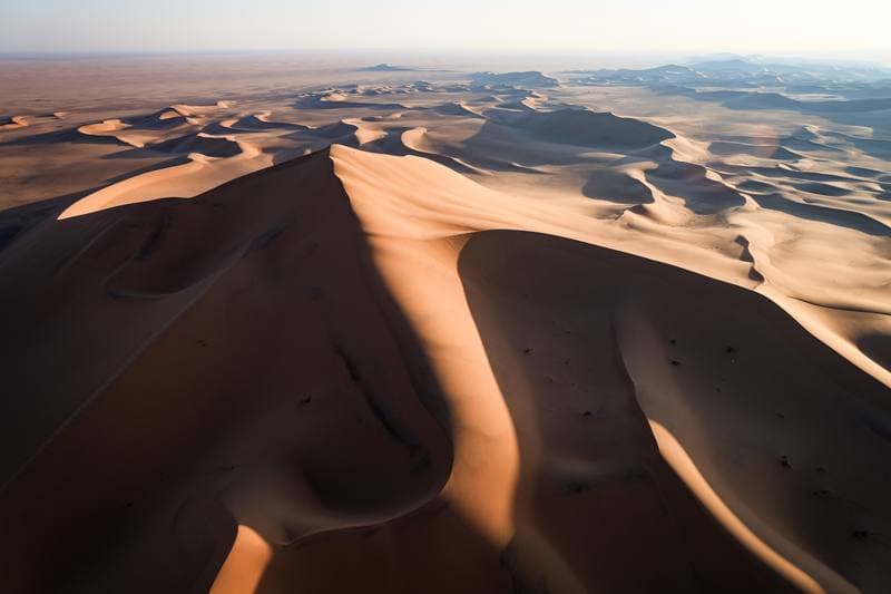 Motorsport. Dakar Rally. Stage 8. 12.01.2026