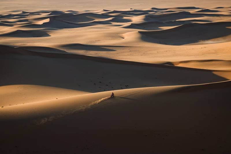 Motorsport. Dakar Rally. Stage 8. 12.01.2026