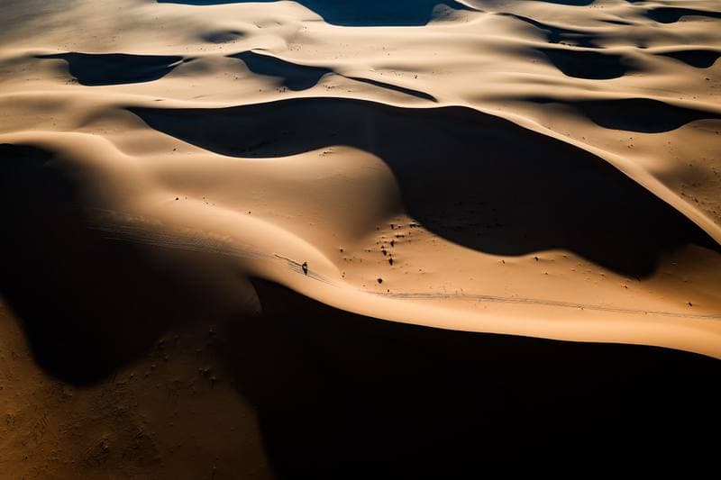 Motorsport. Dakar Rally. Stage 8. 12.01.2026