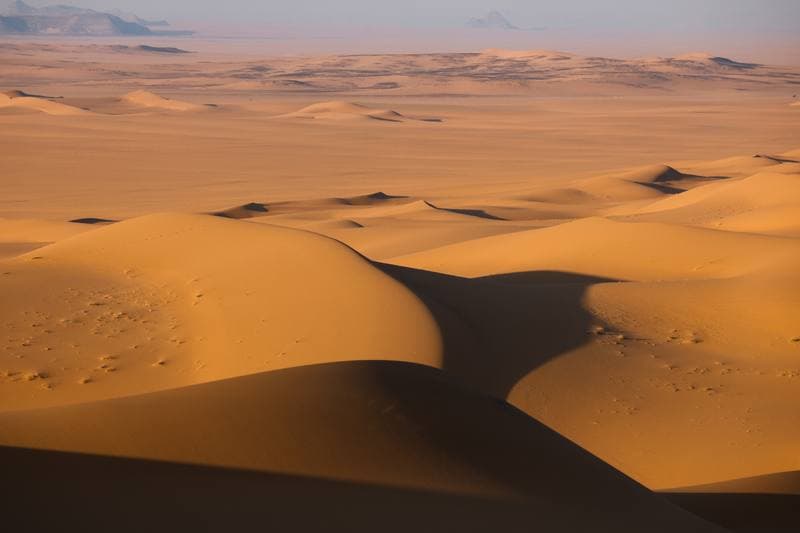 Motorsport. Dakar Rally. Stage 8. 12.01.2026