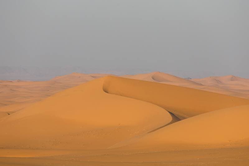 Motorsport. Dakar Rally. Stage 8. 12.01.2026
