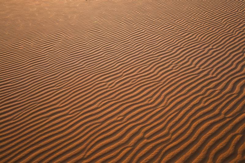 Motorsport. Dakar Rally. Stage 8. 12.01.2026