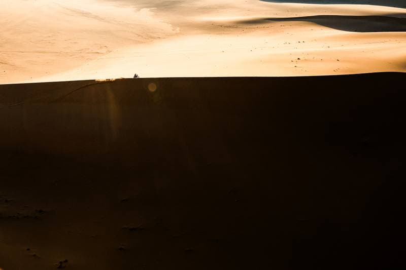 Motorsport. Dakar Rally. Stage 8. 12.01.2026