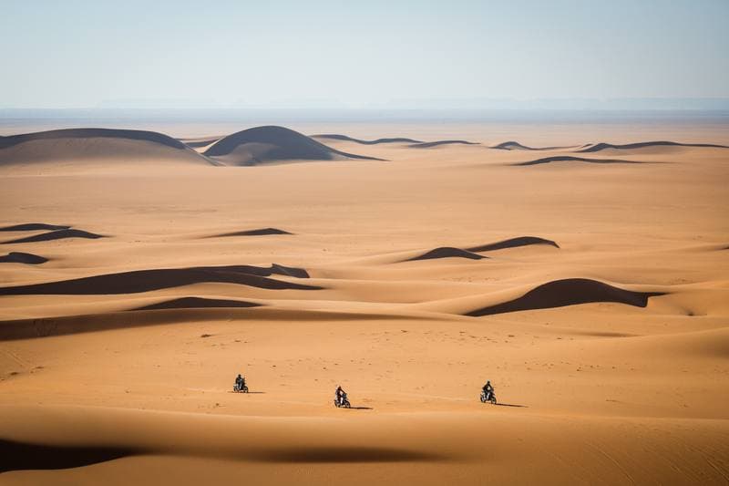 Motorsport. Dakar Rally. Stage 8. 12.01.2026