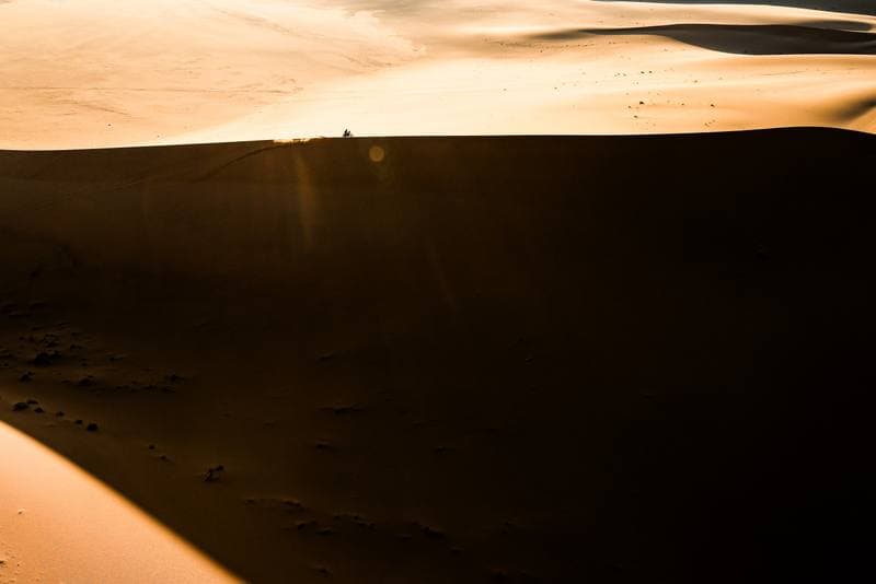 Motorsport. Dakar Rally. Stage 8. 12.01.2026