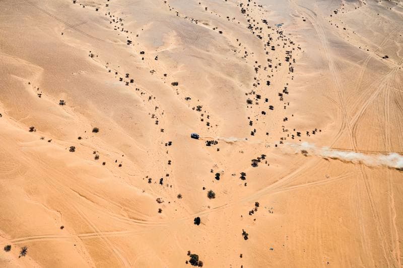 Motorsport. Dakar Rally. Stage 8. 12.01.2026