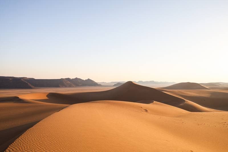 Motorsport. Dakar Rally. Stage 8. 12.01.2026