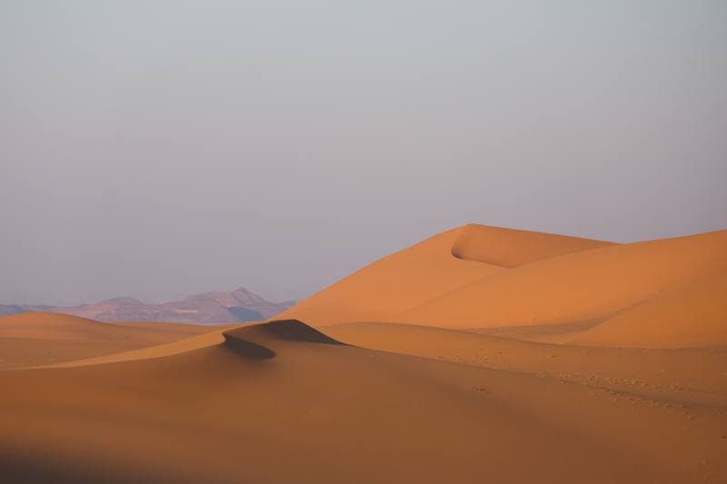 Motorsport. Dakar Rally. Stage 8. 12.01.2026