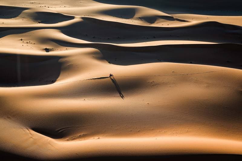 Motorsport. Dakar Rally. Stage 8. 12.01.2026