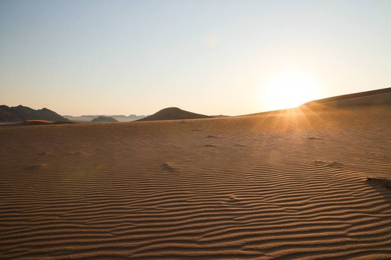 Motorsport. Dakar Rally. Stage 8. 12.01.2026
