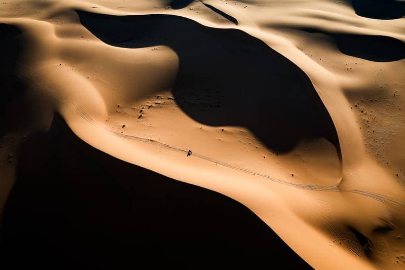 Motorsport. Dakar Rally. Stage 8. 12.01.2026