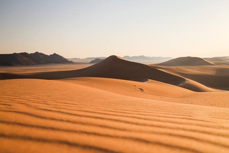 Motorsport. Dakar Rally. Stage 8. 12.01.2026