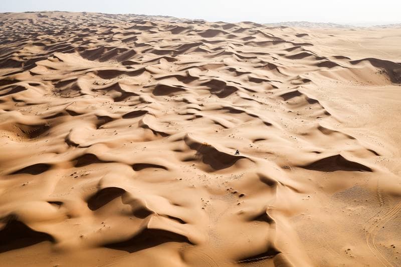 Motorsport. Dakar Rally. Stage 7. 11.01.2026