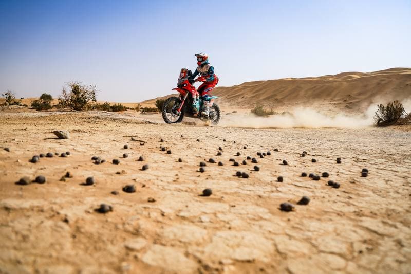 Motorsport. Dakar Rally. Stage 7. 11.01.2026