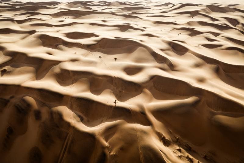 Motorsport. Dakar Rally. Stage 7. 11.01.2026