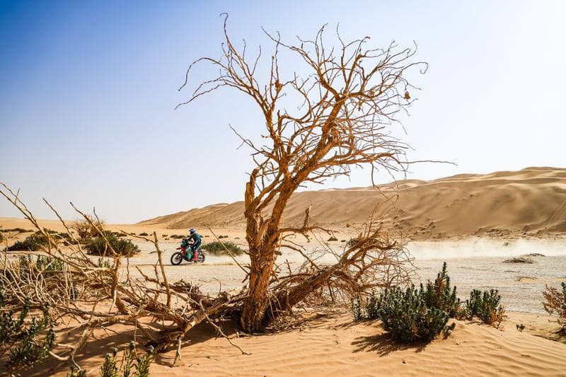 Motorsport. Dakar Rally. Stage 7. 11.01.2026