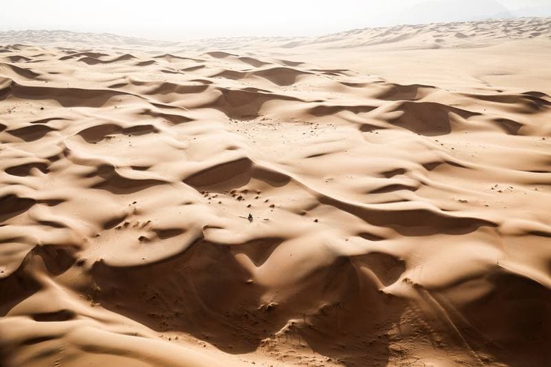 Motorsport. Dakar Rally. Stage 7. 11.01.2026