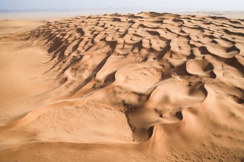 Motorsport. Dakar Rally. Stage 7. 11.01.2026