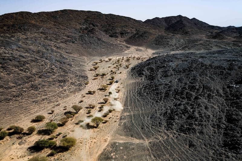 Motorsport. Dakar Rally. Stage 7. 11.01.2026