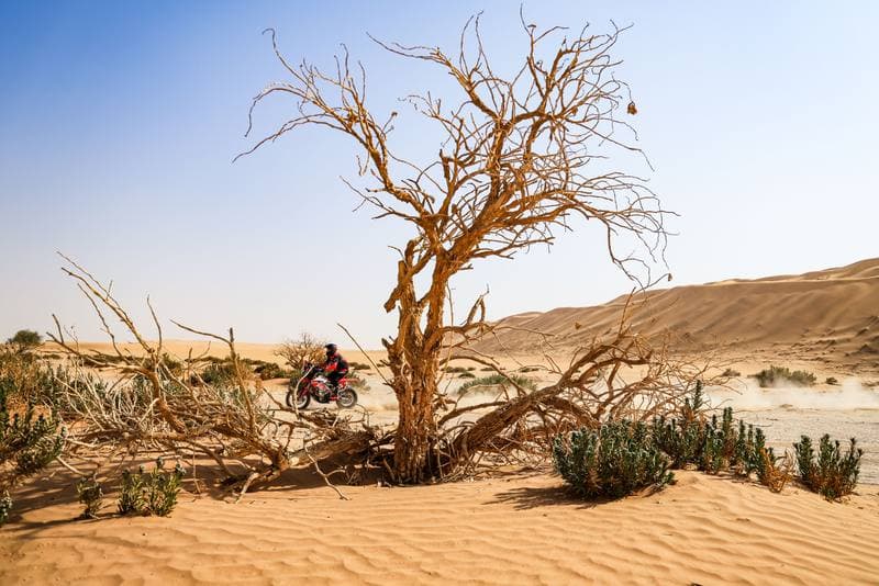 Motorsport. Dakar Rally. Stage 7. 11.01.2026