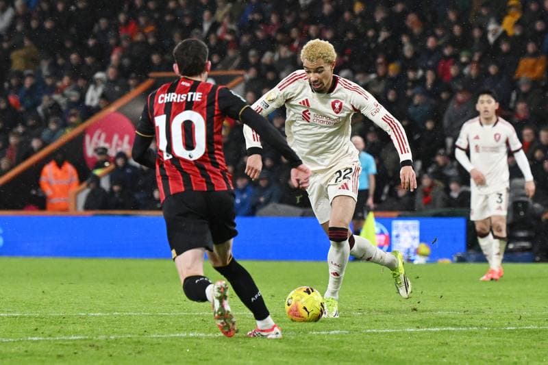 Football. Premier League. Bournemouth - Liverpool. 24.01.2026