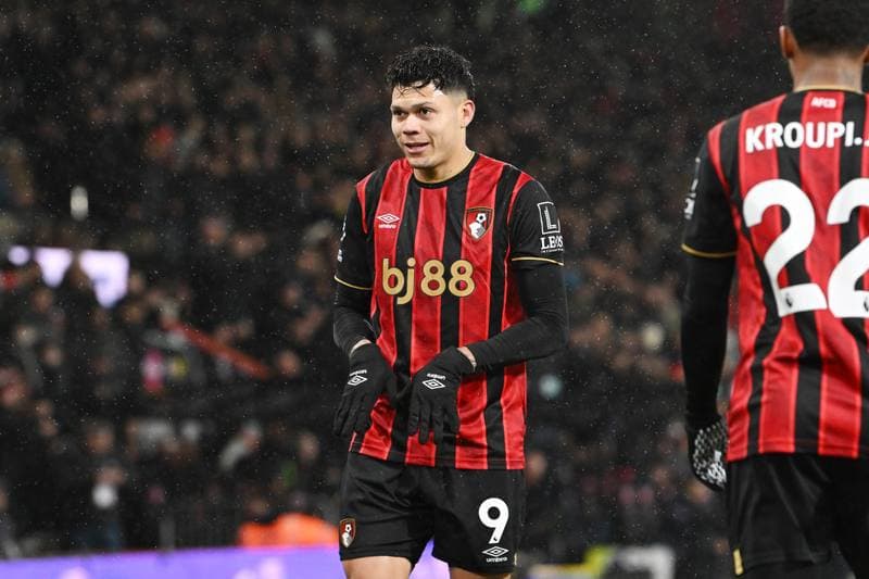 Football. Premier League. Bournemouth - Liverpool. 24.01.2026