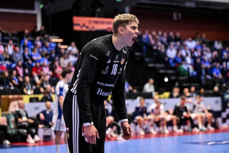 Handball. Men's EHF Euro 2026. Poland - Iceland. 18.01.2026