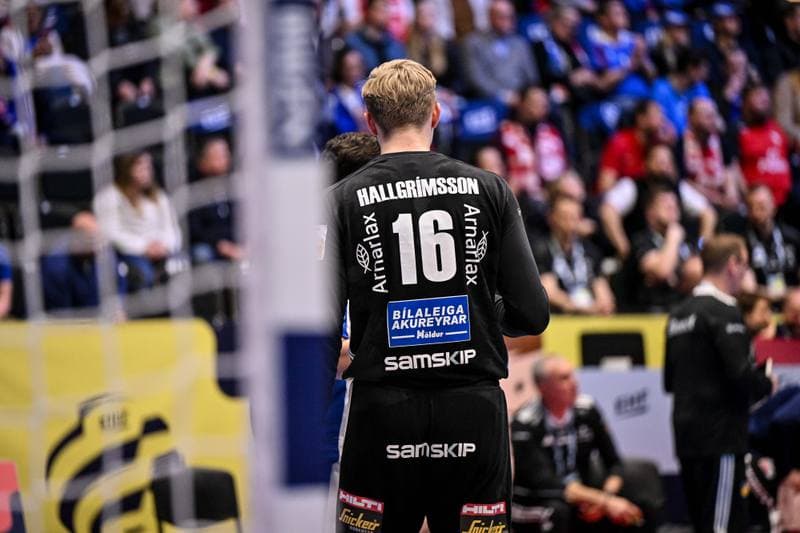 Handball. Men's EHF Euro 2026. Poland - Iceland. 18.01.2026